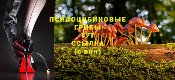 ГАЛЛЮЦИНОГЕННЫЕ ГРИБЫ Переславль-Залесский